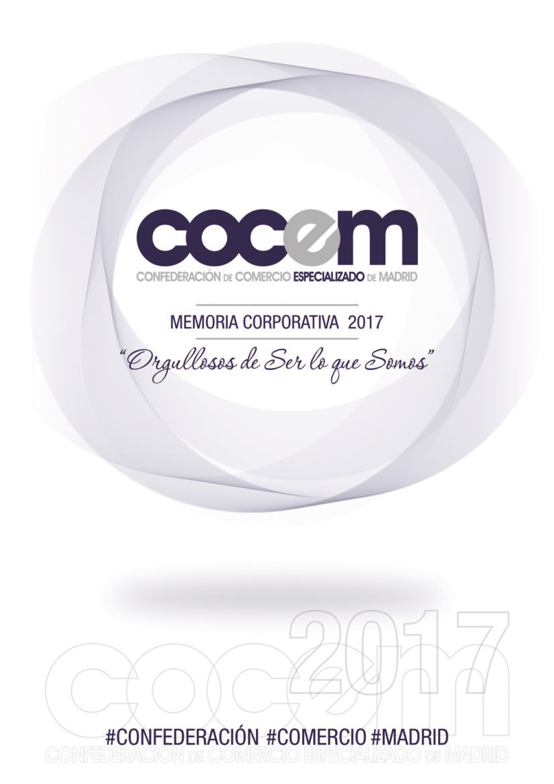 COCEM MEMORIA 2017.indd