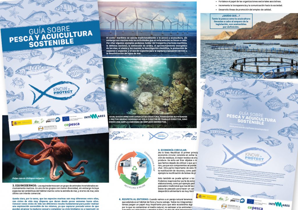 BIODIVERSIDADMARINA.ai